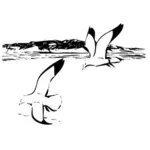 Две чайки сельди в полете векторное изображение
